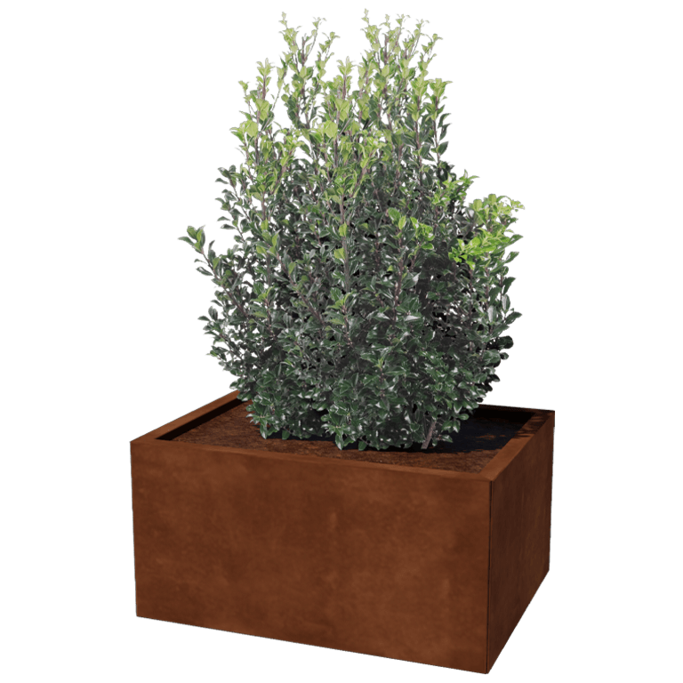 Cortenstaal plantenbak - Rechthoek - 60 x 80 cm