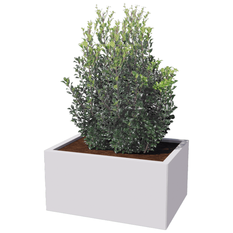 Stalen plantenbak - Rechthoek - 60 x 80 cm