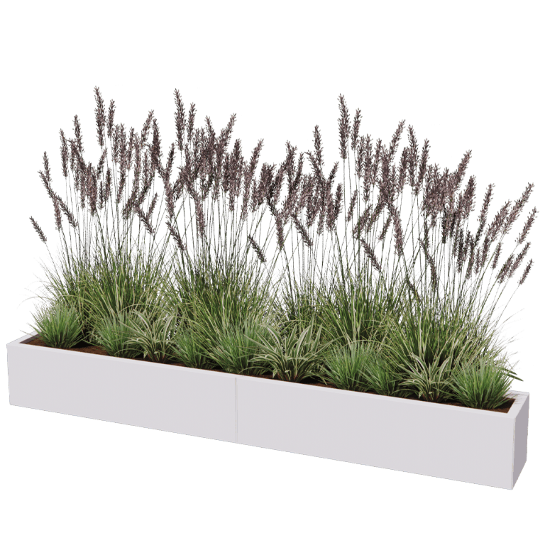 Stalen plantenbak XXL - Rechthoek - 240 x 30 cm
