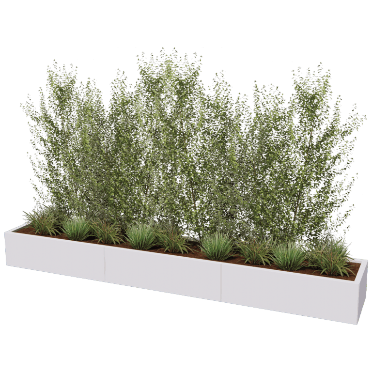 Stalen plantenbak XXL - Rechthoek - 300 x 50 cm