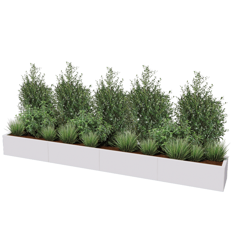 Stalen plantenbak XXL - Rechthoek - 320 x 40 cm