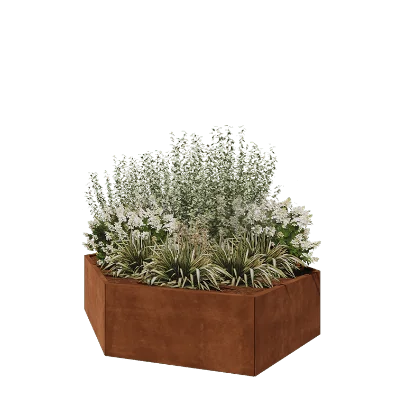 Cortenstaal plantenbak - Zeshoek - 199,3 x 173,2 x 50 cm - Zonder bodemplaat