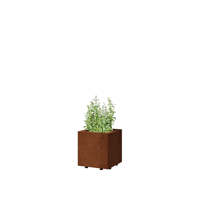 Cortenstaal plantenbak - Vierkant - 30 x 30 x 30 cm - Met bodemplaat - Met poten