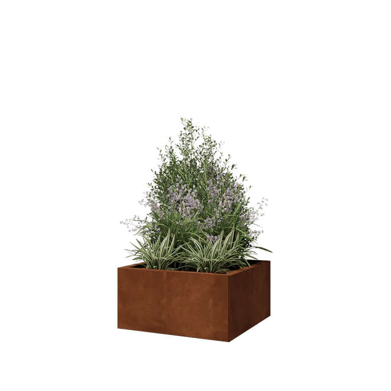 Cortenstaal plantenbak - Vierkant - 60 x 60 x 30 cm - Met bodemplaat