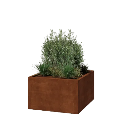 Cortenstaal plantenbak - Vierkant - 100 x 100 x 60 cm - Gelast - Zonder bodemplaat