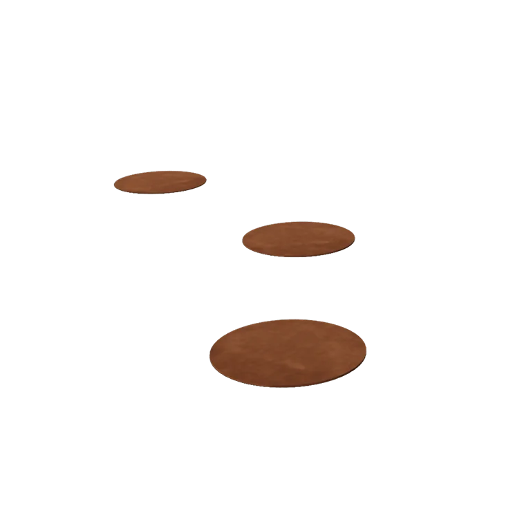 Cortenstaal staptegel - Rond - 25 cm